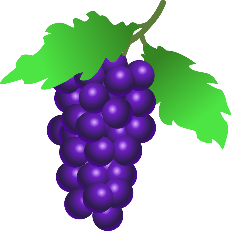 Wine Grape